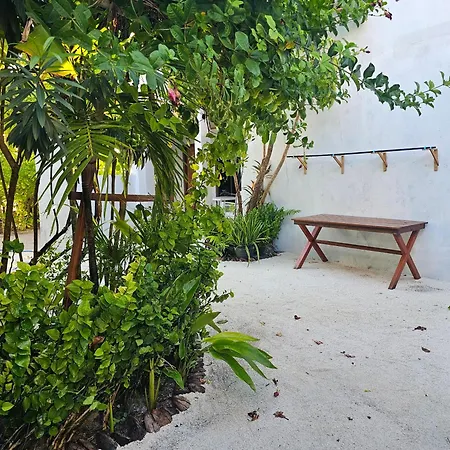 Sunset Beach View Dhangethi Exterior foto