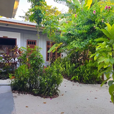 Sunset Beach View Dhangethi Exterior foto