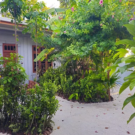 Sunset Beach View Dhangethi Exterior foto