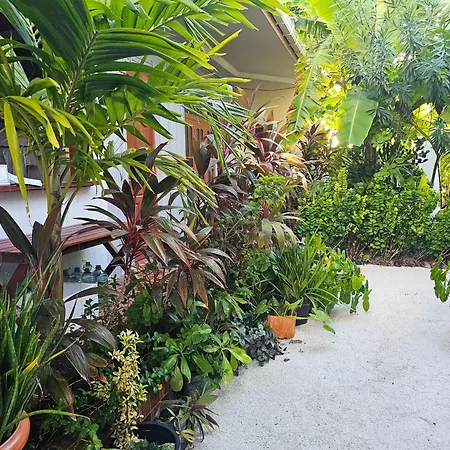 Sunset Beach View Dhangethi Exterior foto