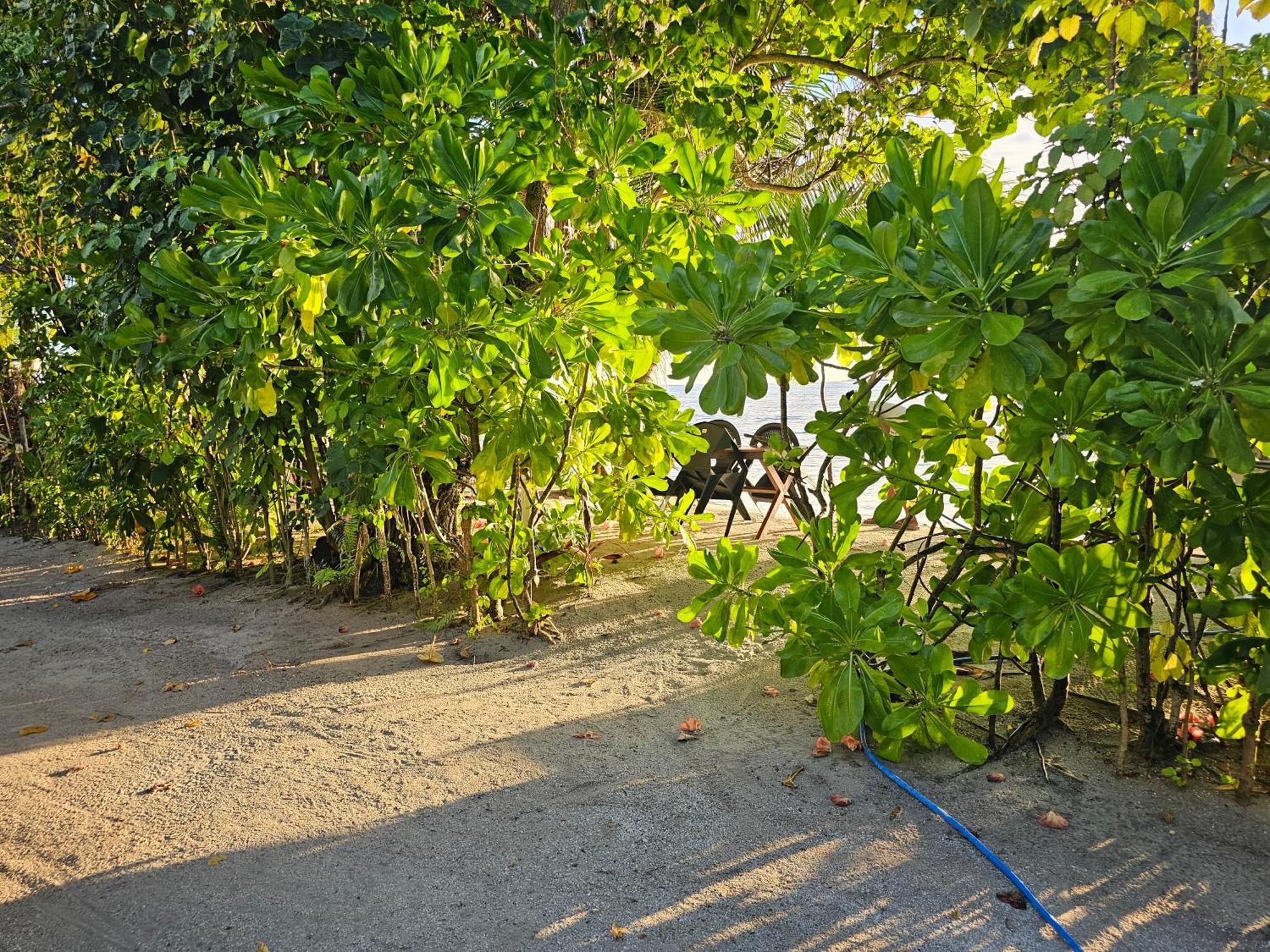 Sunset View Gasthof Dhangethi